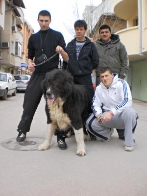 Прикачена снимка