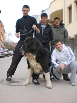 Прикачена снимка