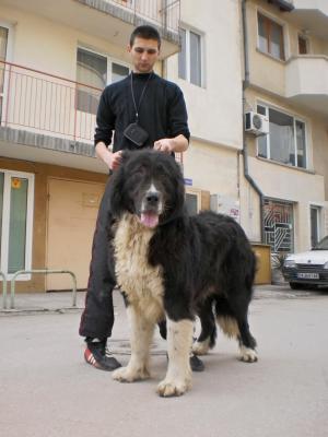 Прикачена снимка