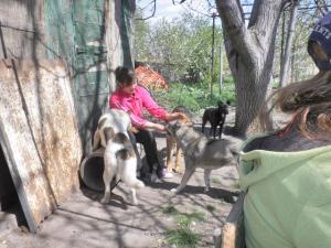 Прикачена снимка