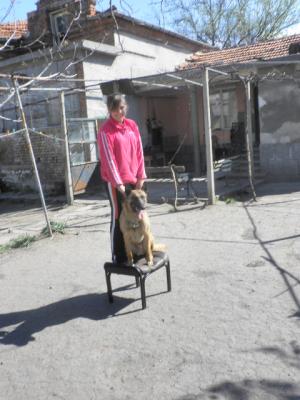 Прикачена снимка