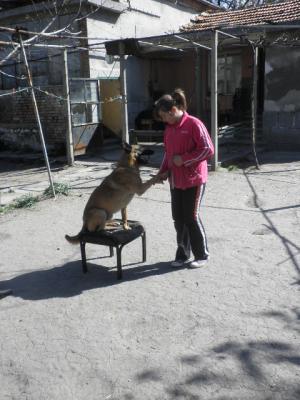 Прикачена снимка