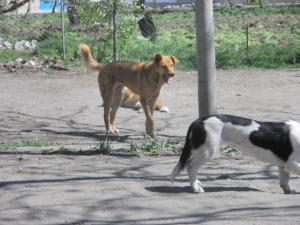 Прикачена снимка
