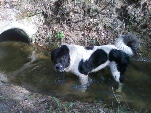 Прикачена снимка