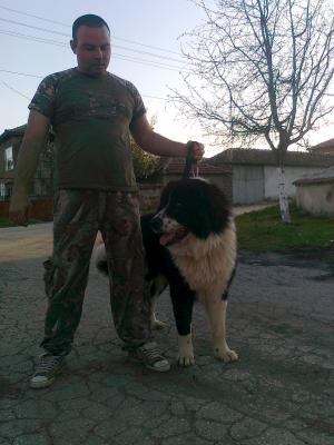 Прикачена снимка