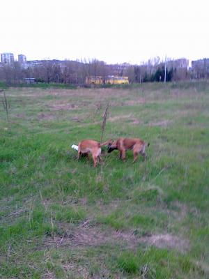 Прикачена снимка