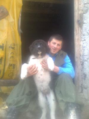 Прикачена снимка