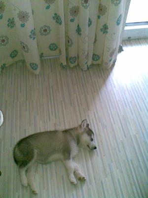 Прикачена снимка