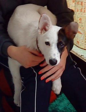 Прикачена снимка