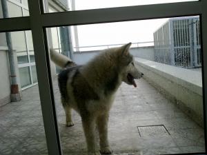 Прикачена снимка