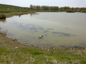 Прикачена снимка