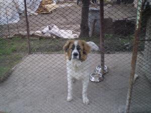 Прикачена снимка