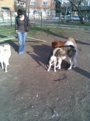 Прикачена снимка