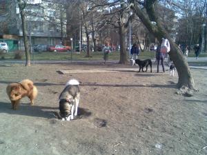 Прикачена снимка