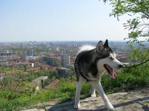 Прикачена снимка