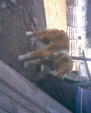 Прикачена снимка