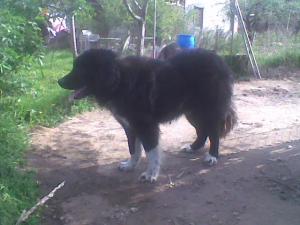Прикачена снимка