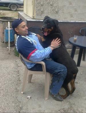 Прикачена снимка