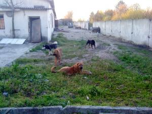 Прикачена снимка