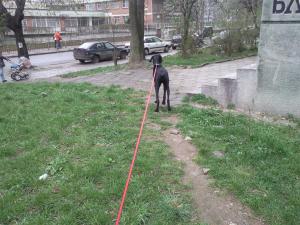 Прикачена снимка