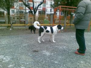 Прикачена снимка