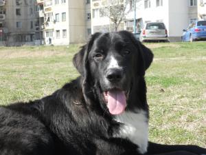 Прикачена снимка