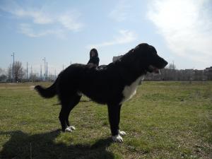 Прикачена снимка