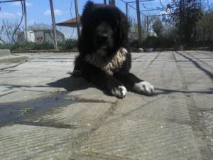 Прикачена снимка