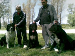 Прикачена снимка