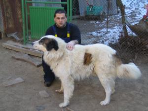 Прикачена снимка