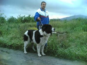 Прикачена снимка