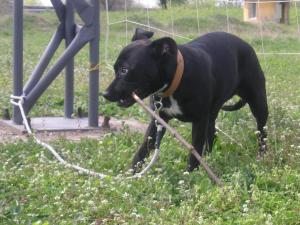 Прикачена снимка