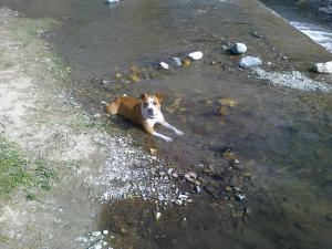 Прикачена снимка