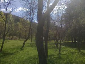 Прикачена снимка