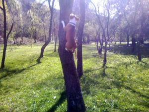 Прикачена снимка