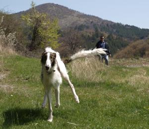 Прикачена снимка