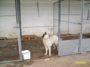 Прикачена снимка