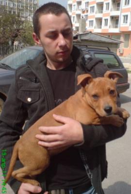 Прикачена снимка