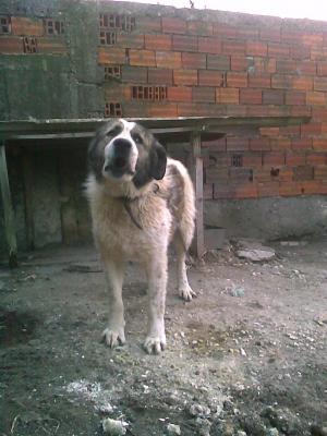 Прикачена снимка