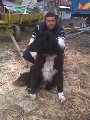 Прикачена снимка
