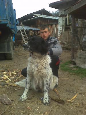 Прикачена снимка