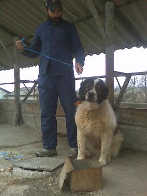 Прикачена снимка
