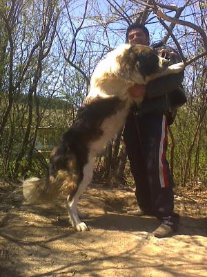 Прикачена снимка