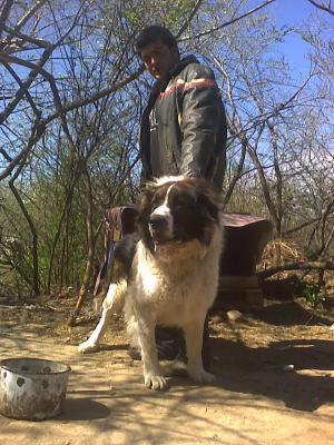 Прикачена снимка