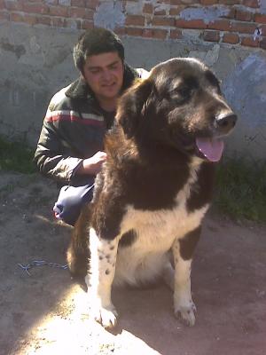 Прикачена снимка