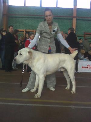 Прикачена снимка