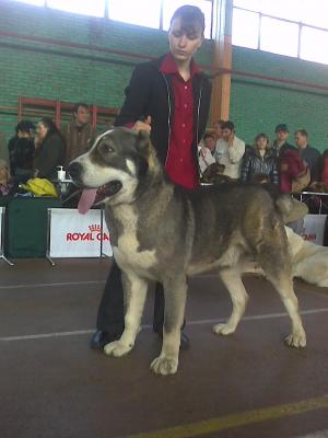 Прикачена снимка