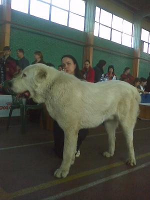Прикачена снимка