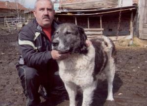 Прикачена снимка