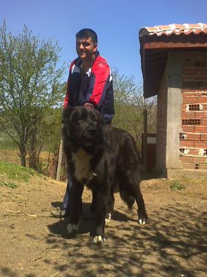 Прикачена снимка